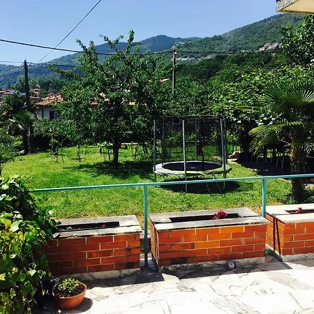 Apartment Pepi